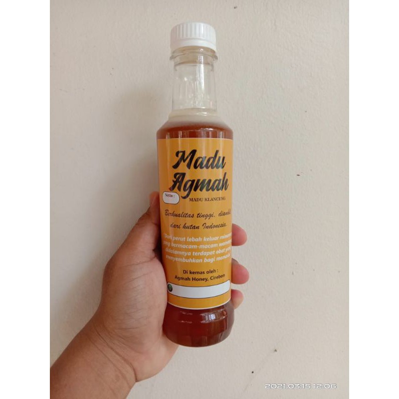 

madu klanceng dari lebah trigona itama