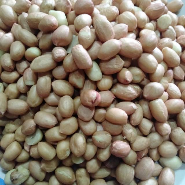 

KACANG TANAH 1000gr