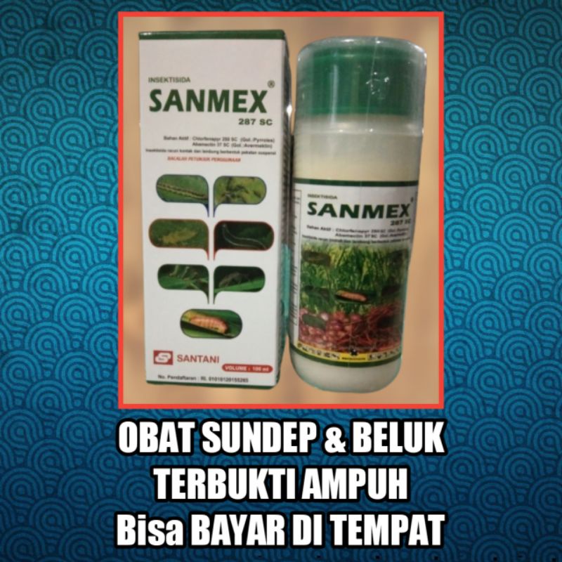 SANMEX 287 SC 100 ML