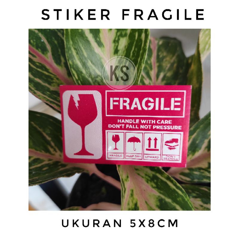 

KS Stiker Fragile Ukuran 5x8cm Per pack isi 100lembar