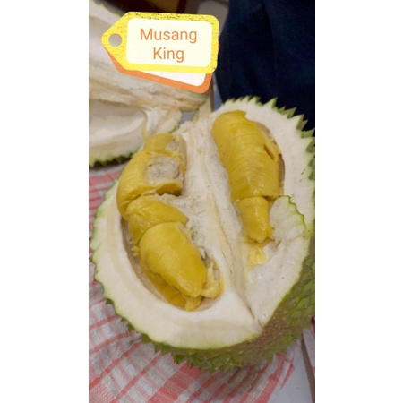 

Durian Utuh Musangking, Duri Hitam Ochee, dan Musangqueen Tekka