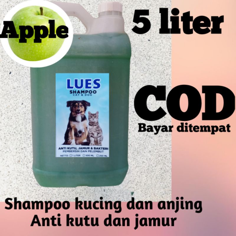 Shampoo kucing/anjing anti kuti dan jamur dan rontok netto:5 litrt