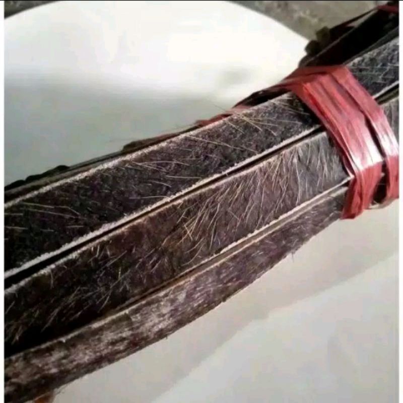 READY STOK  janget/tali kendang dari kulit kerbau