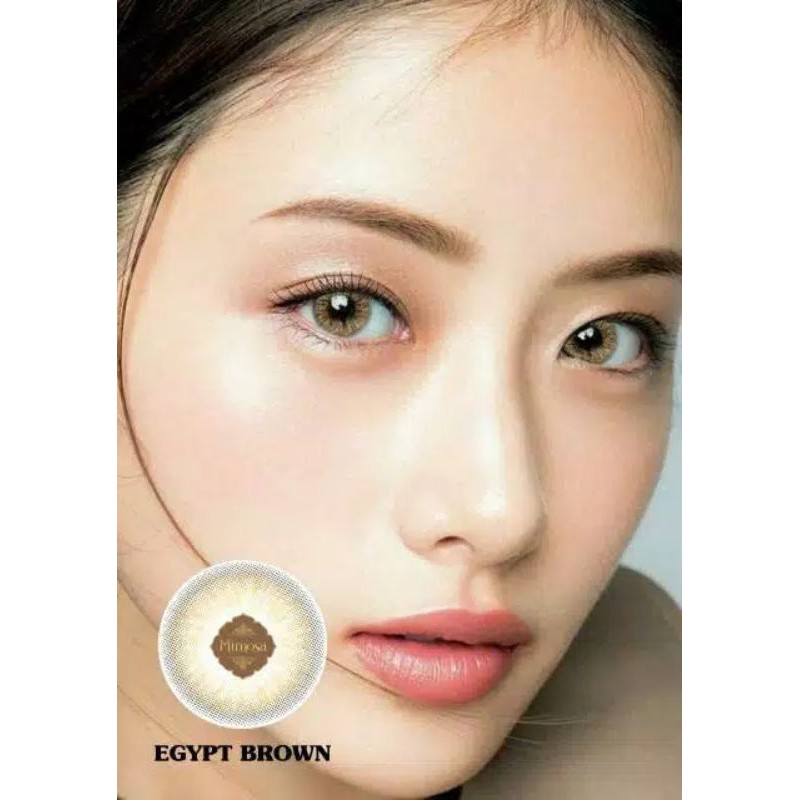 CUCI GUDANG 2025 Softlens Mimosa/Normal Minus/ Softlens 14.5/Standar