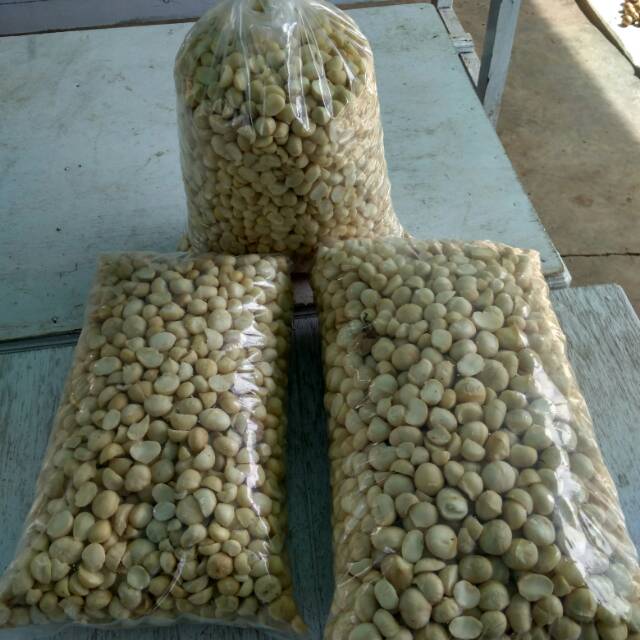 

Kacang Macadamia (terlezat dan termahal di dunia)