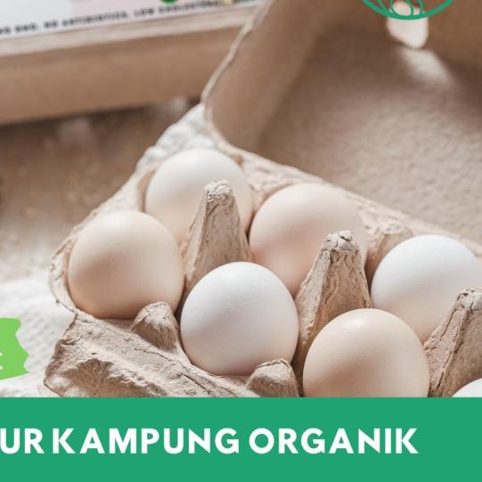 

☄ Telur Ayam Kampung Organik 1 Butir Opera Organic Chicken Eggs Fresh ✼