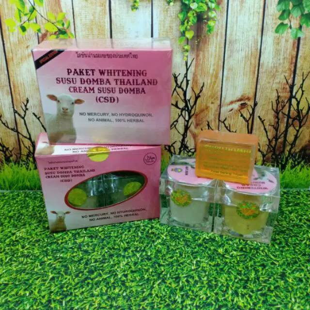 cream susu domba ori ( CSD )