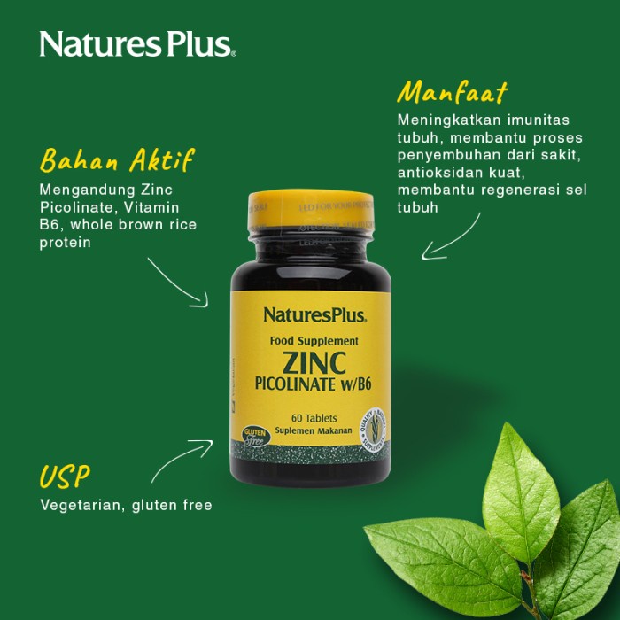 NEW Natures Plus Zinc Picolinate W/B6