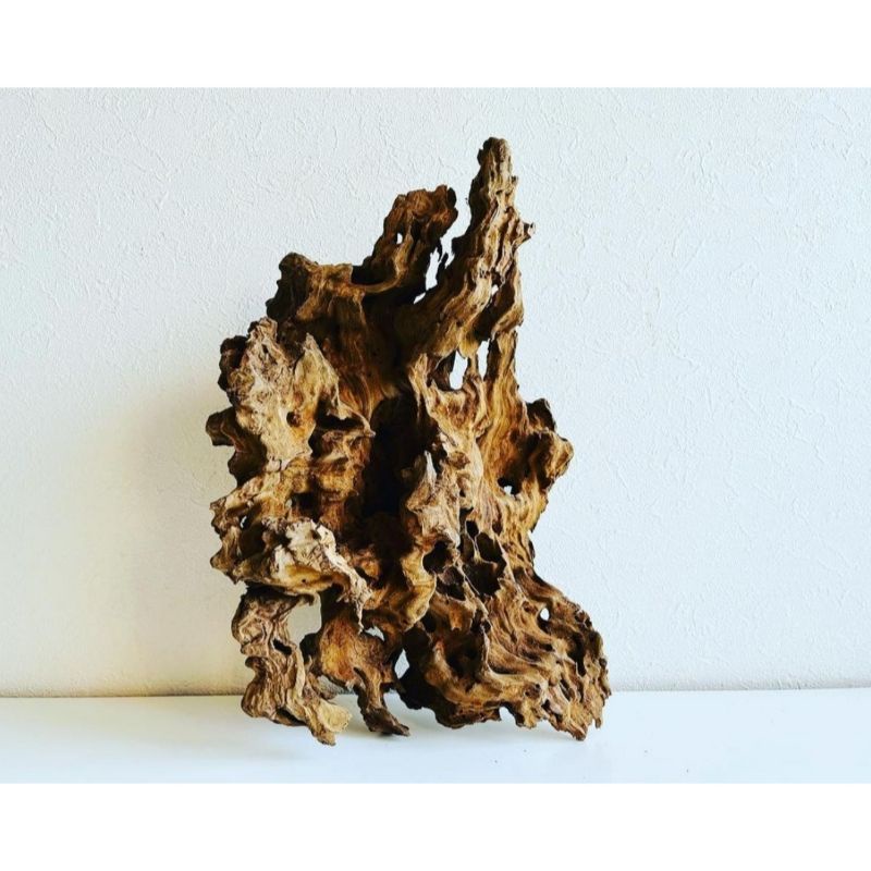 kayu rentek aquarium aquascape motif