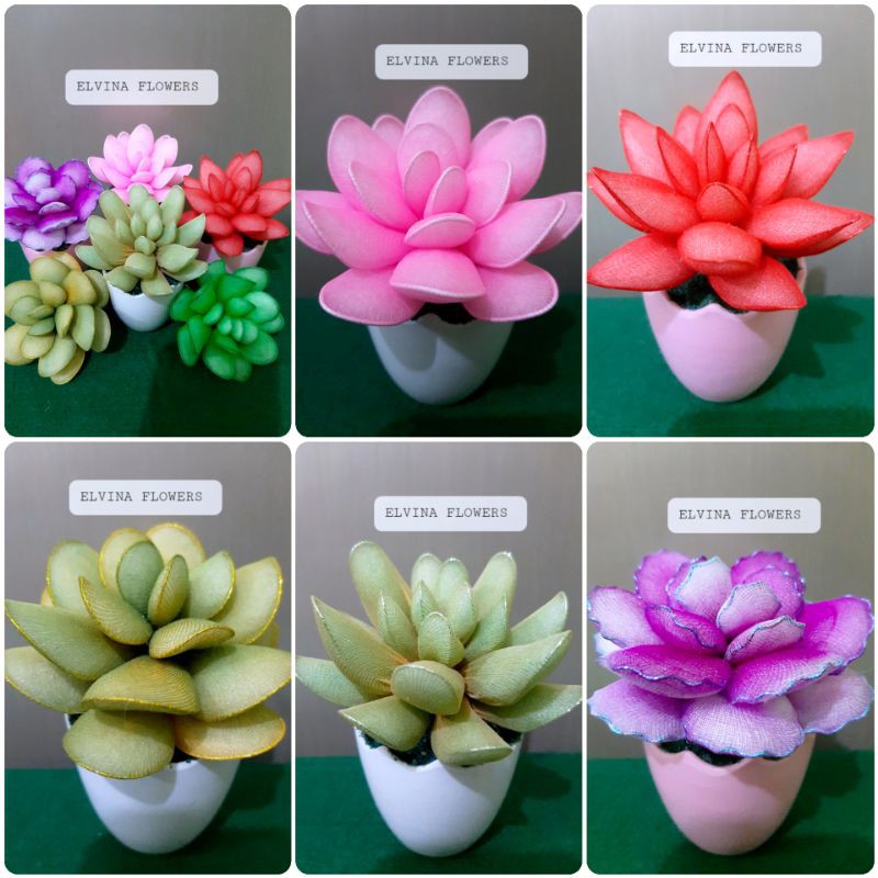 BUNGA HIAS STOCKING, BUNGA KAKTUS SUKULENT STOCKING.