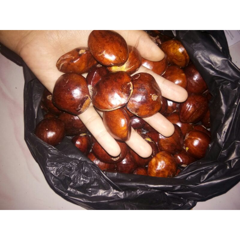 

jengkol tua legit 500gr