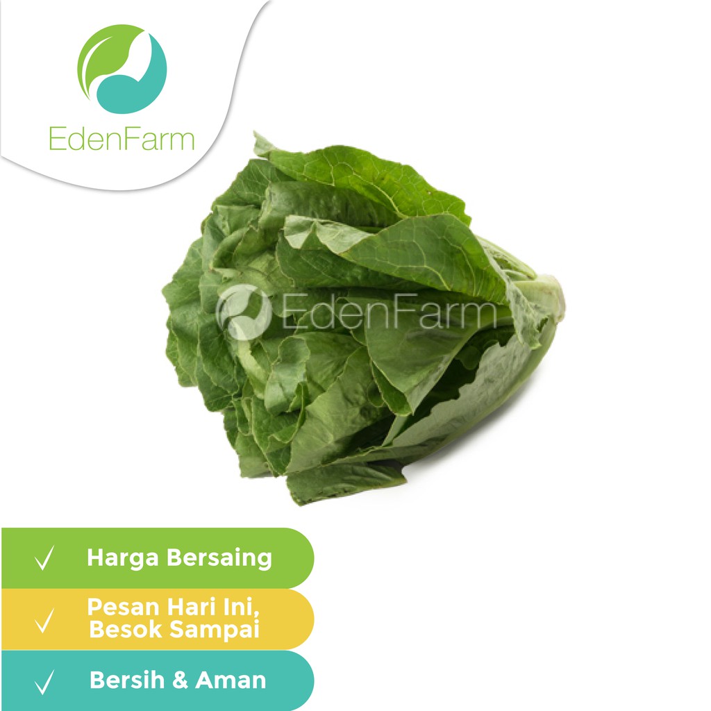 

Romaine 250 gr Eden Farm