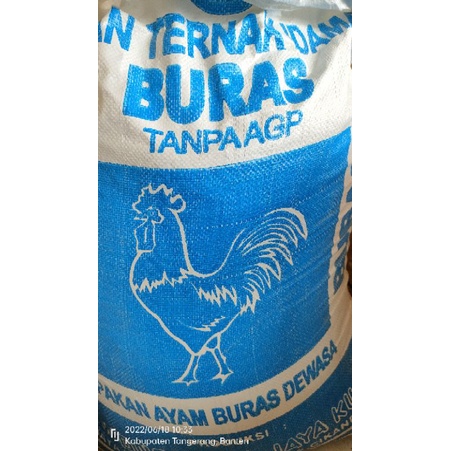 pakan ayam buras