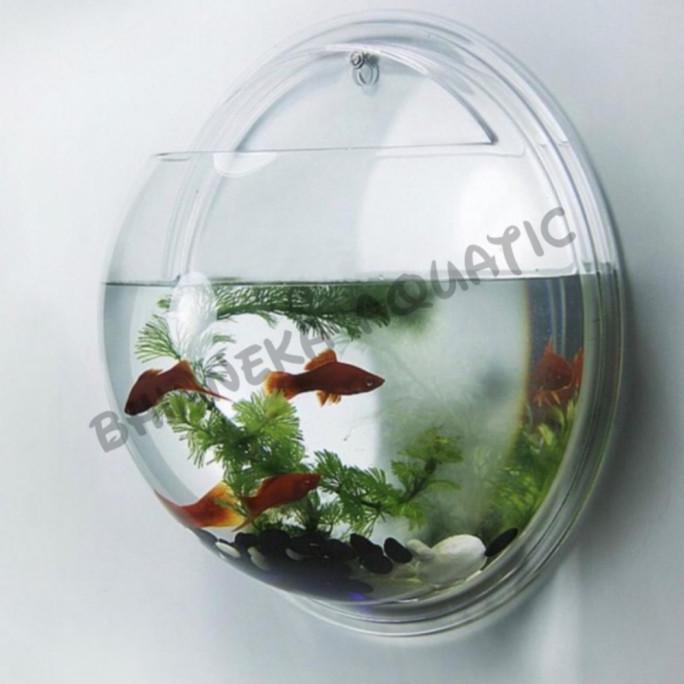 Aquarium Aqrylic Akrilik Bulat Gantung Tempel Dinding 29.5 Cm