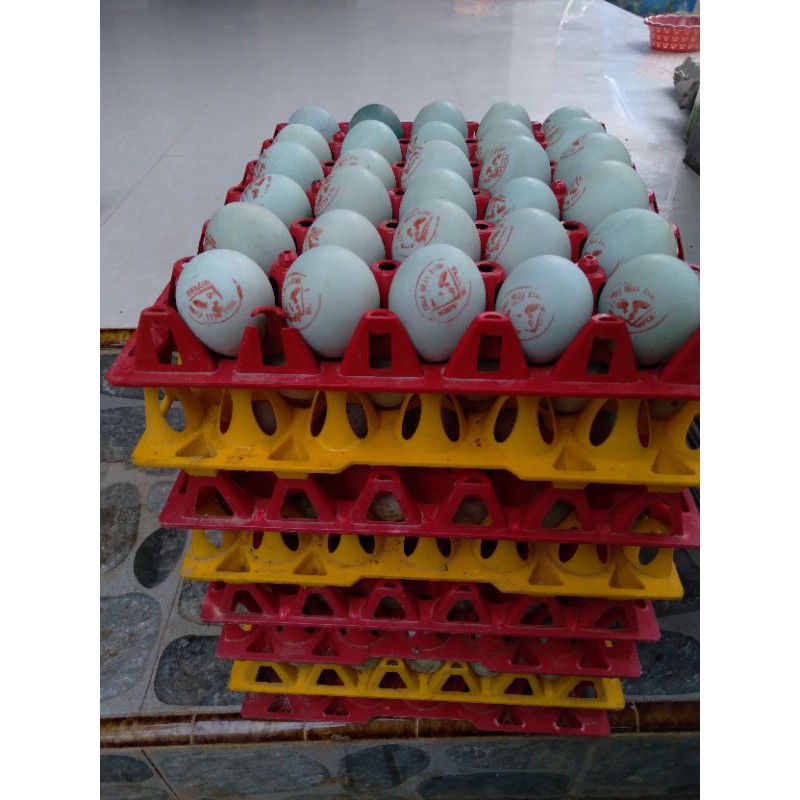 

Telur asin Sari