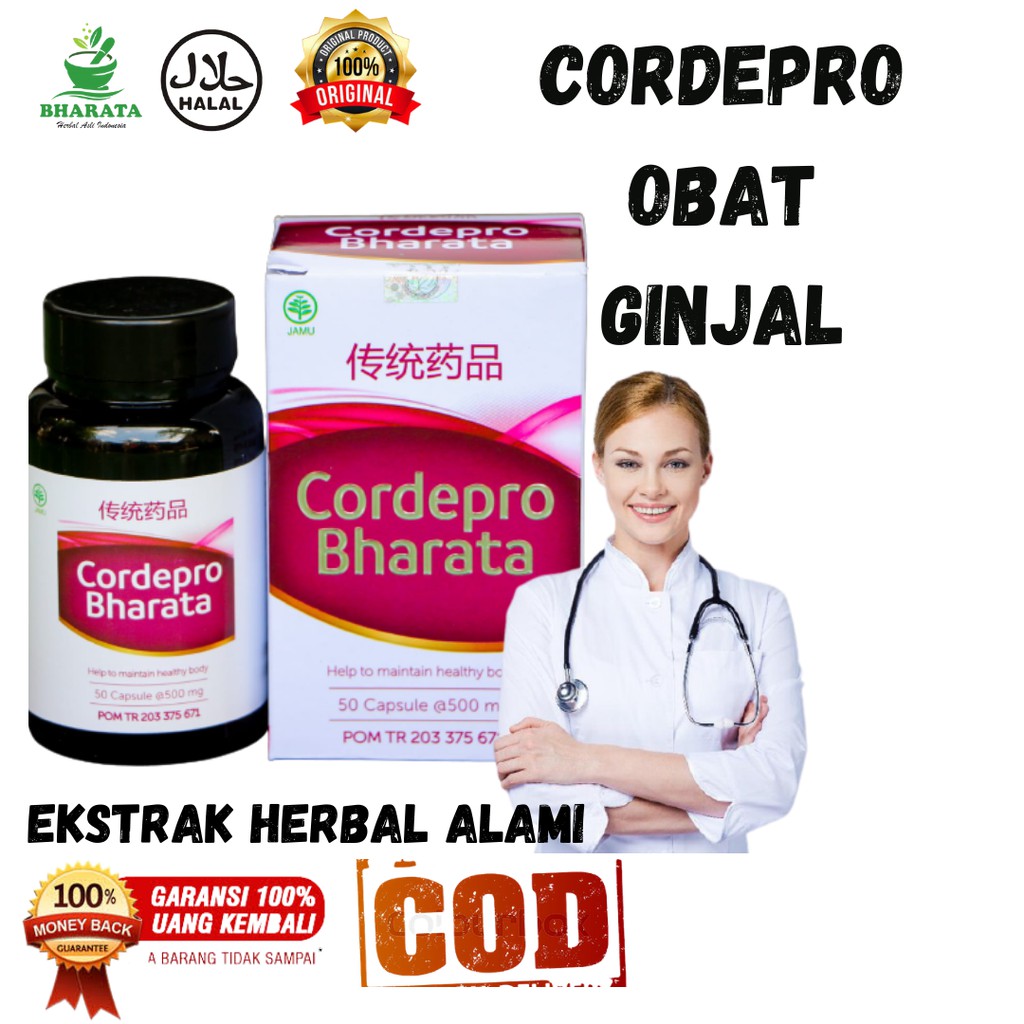 Obat Herbal Penyakit Ginjal - Gagal Ginjal Penghancur Kencing Batu Cordepro