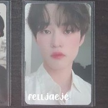 [READY STOCK] PC PHOTOCARD CHENLE SELCA CANDYLAB VOL 4 V4