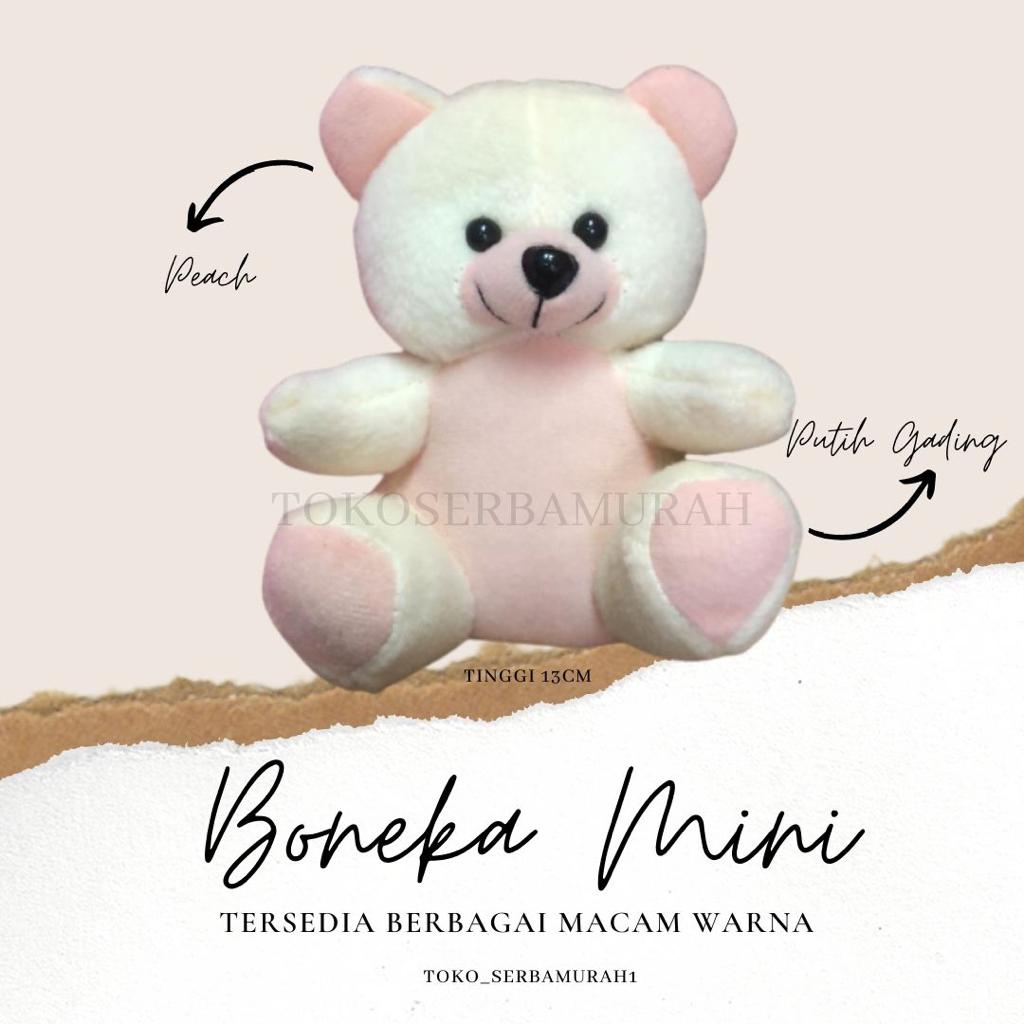 Bear mini 13cm/bear buket /boneka souvenir