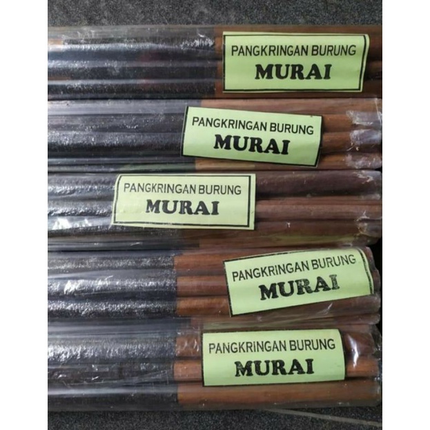 tangkringan amplas murai batu