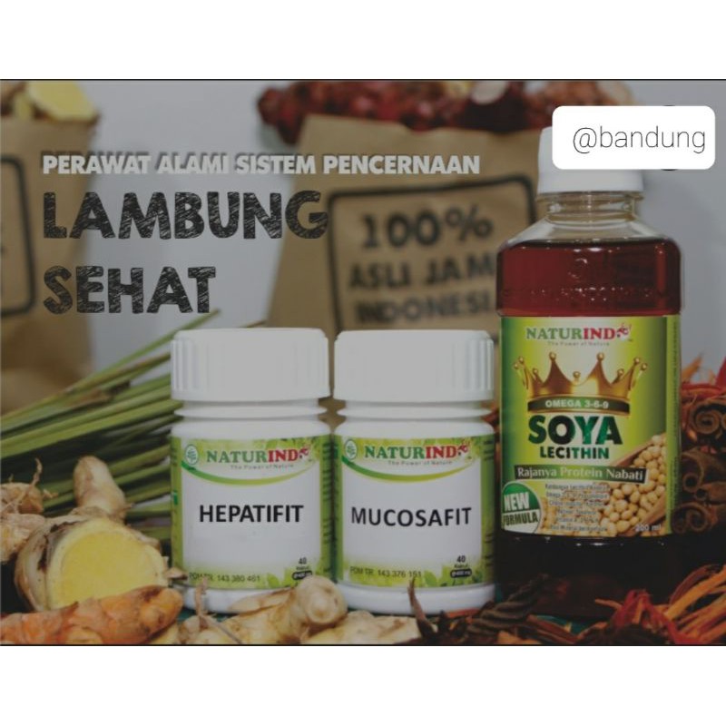 Paket Herbal Perawatan Lambung Naturindo