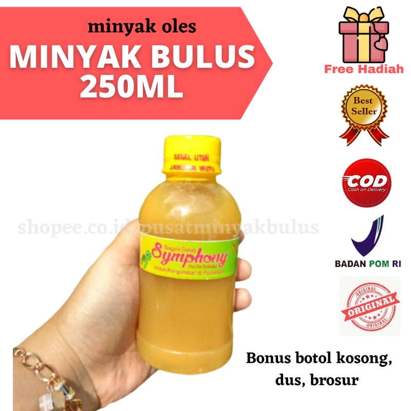 Minyak bulus 250ml / minyak bulus symphony / Minyakbulus literan / grosir minyak bulus termurah asli