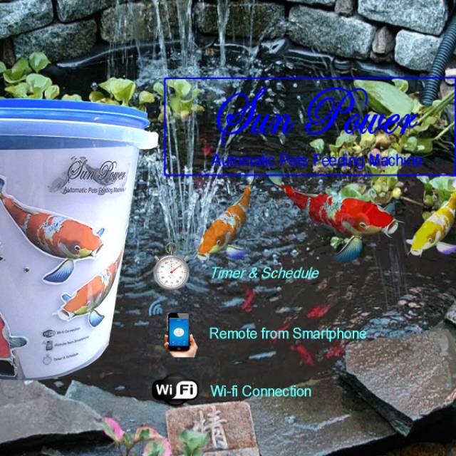 Fish feeder automatic