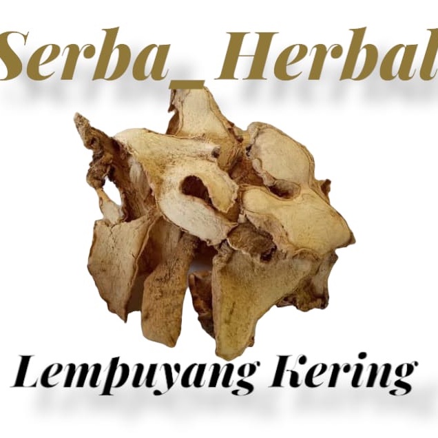Puyang kering 500gram lempuyang kering