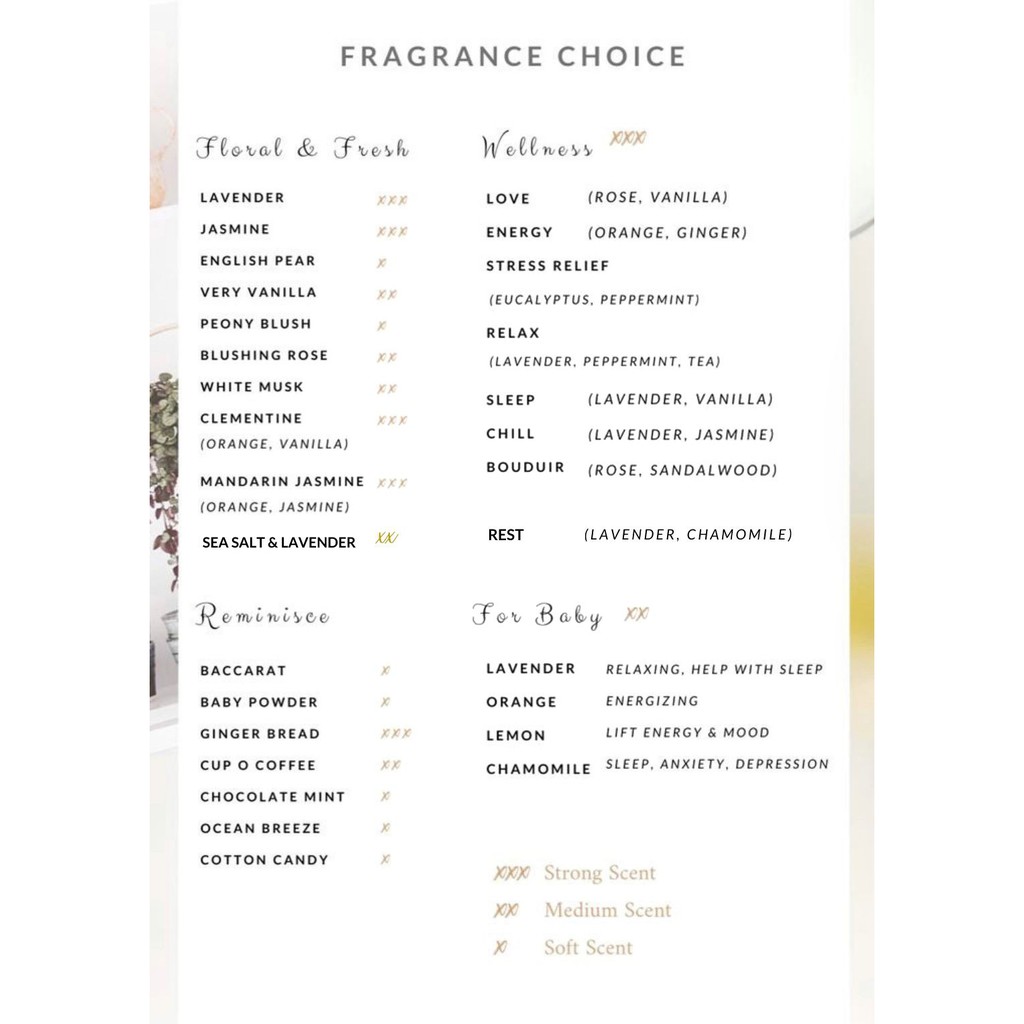 Le Reve Refill Reed Diffuser (include Reed Sticks)-1