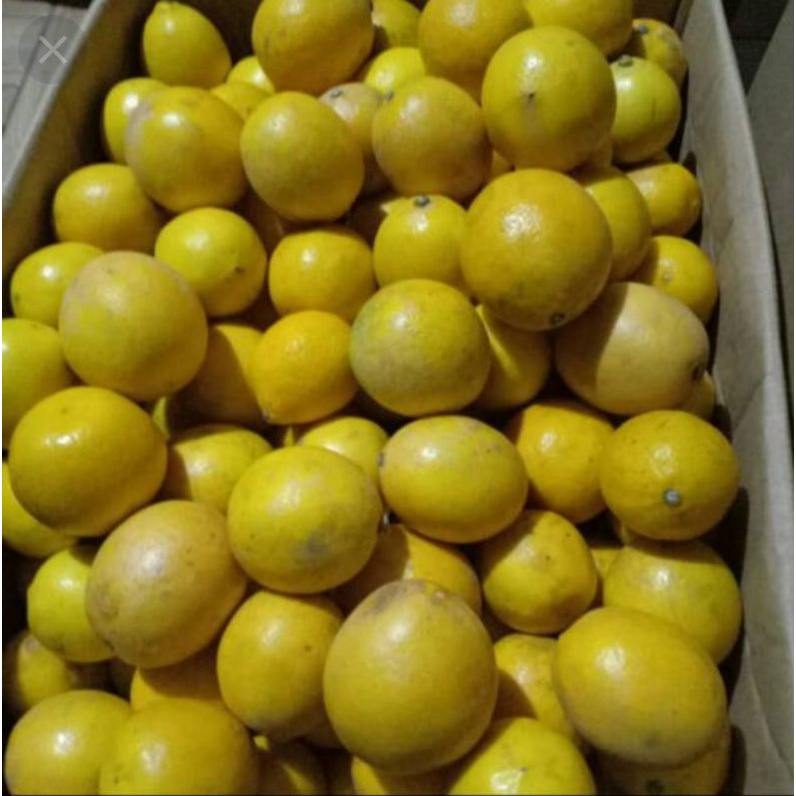 

Lemon California PAKET 3kg