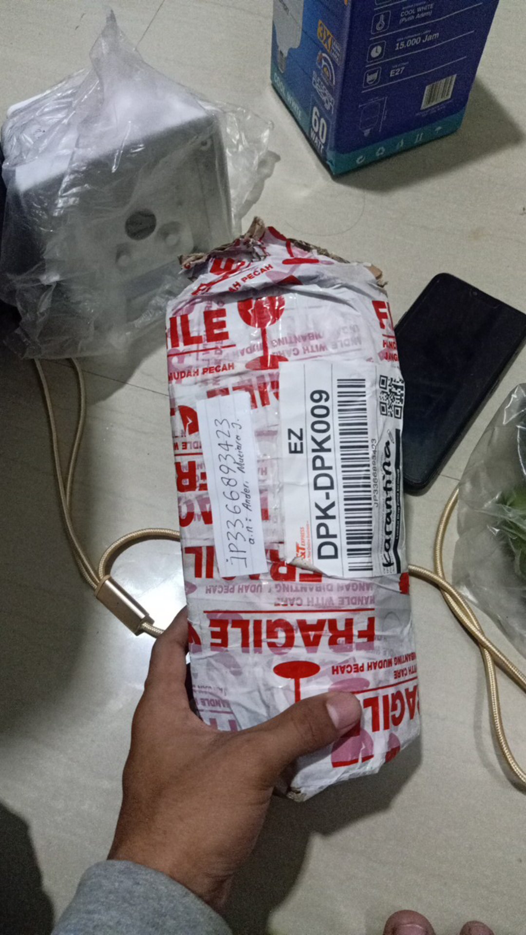 Keladi Green Spider Gratis Karantina