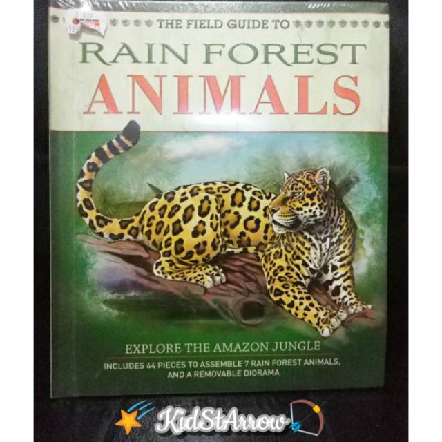 Buku Rain Forest Animals