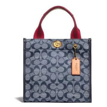Coach Tote 22 in Signature Chanbrey