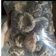 

jamur hioko /shitake kering 500gr tebal dan besar 5-8cm