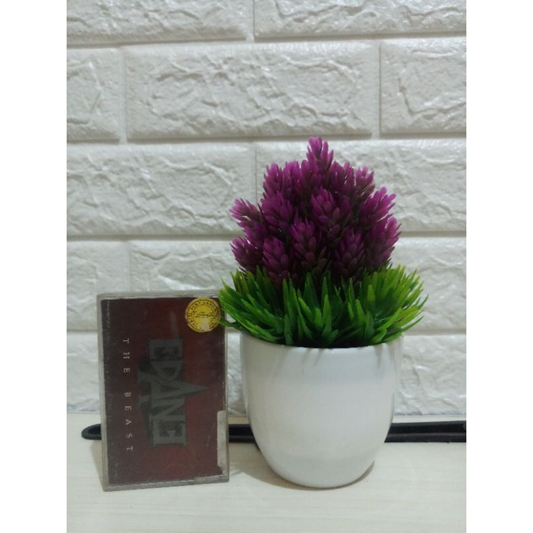 Kaset EDANE The Beast