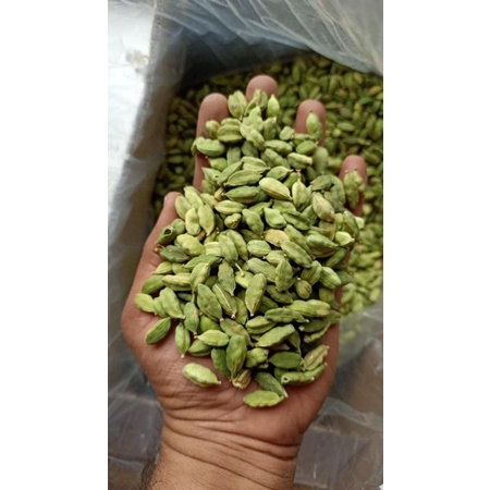 

green cardamon /kapulaga hijau india 10 gram