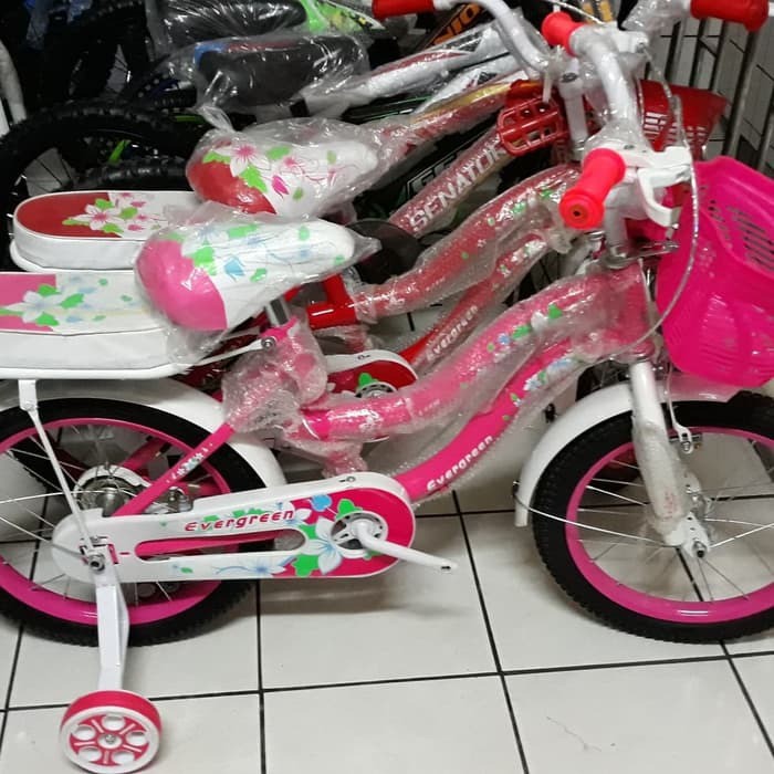 Sepeda anak perempuan mini Evergreen 16 tkds