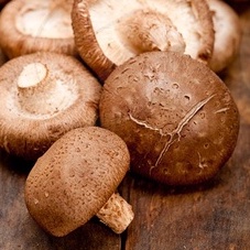 

Shiitake 500gr / Fresh Shiitake Mushroom / Jamur Segar Shitake - Sitake / Jamur Hioko / Fresh Hioko Mushroom