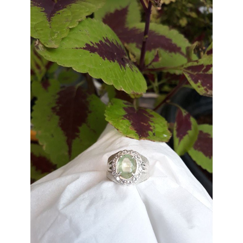 Natural Zamrud Colombia Memo