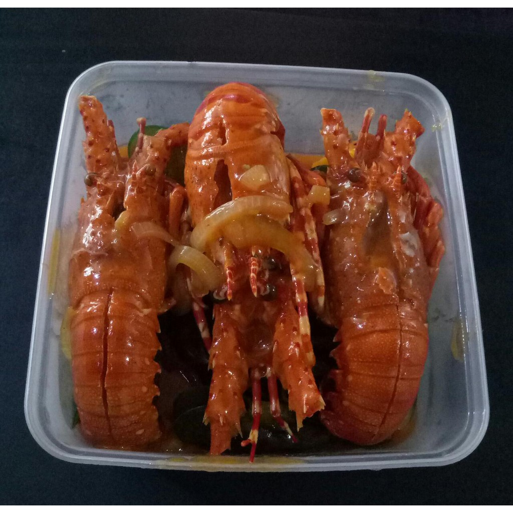 

lobster hemat