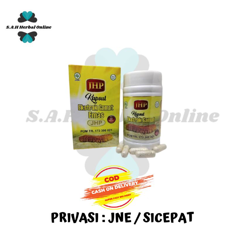Kapsul JHP Ekstrak Gamat Emas