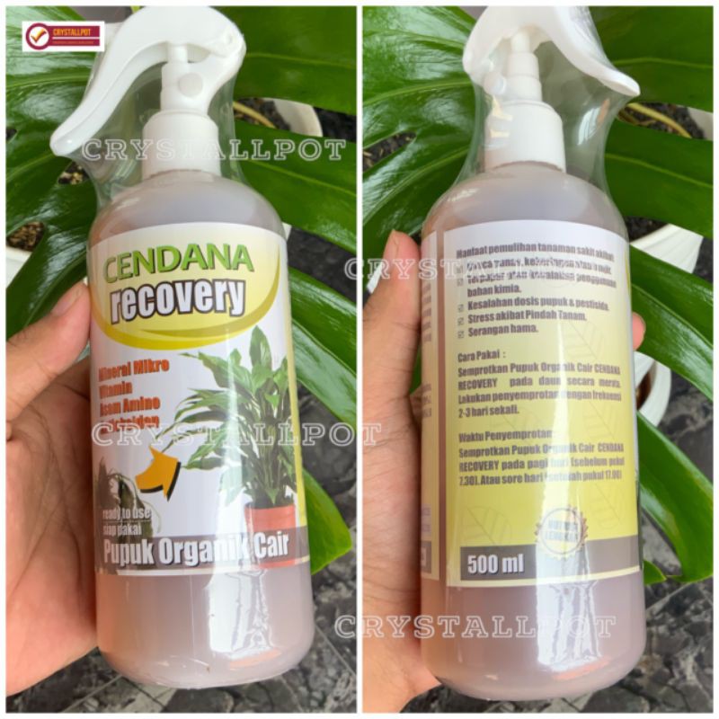 pupuk cair organik cendana recovery 500ml - pupuk anti stres tanaman