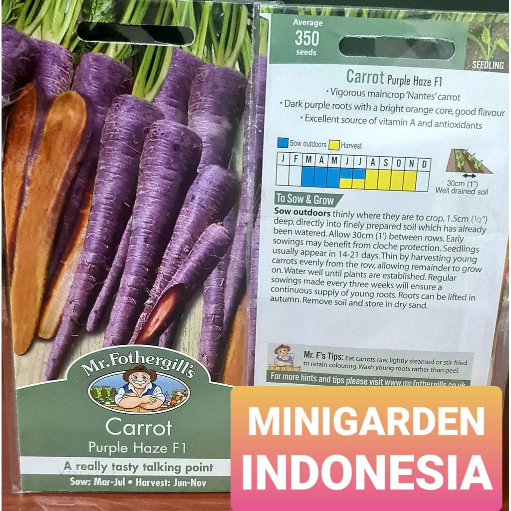 Benih WORTEL UNGU CARROT PURPLE HAZE PACK 350 BIJI F1 Mr. Fothergills Bibit tanaman Sayuran