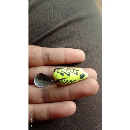 soft frog /umpan casting