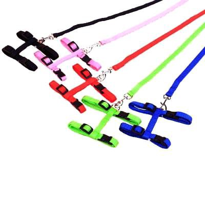 Harness Kucing, Musang Model H 1cm