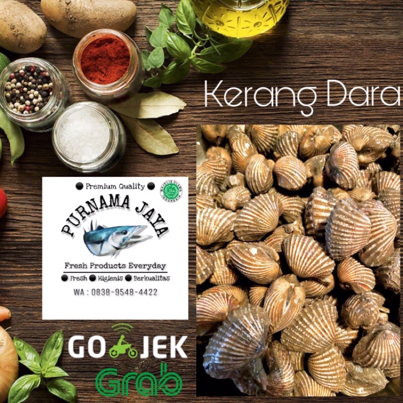 

Kerang Dara Hidup 1kg