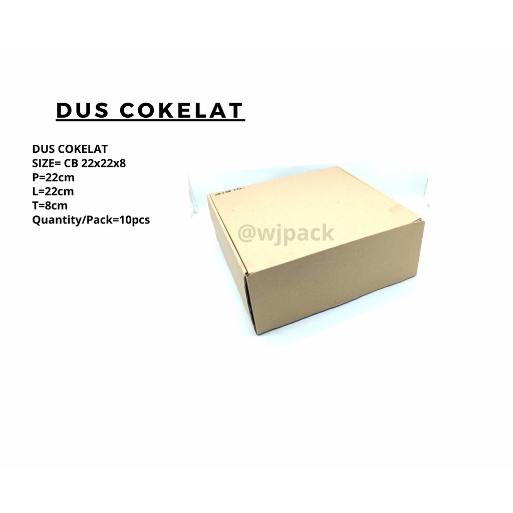 

DUS COKELAT 22X22X8CM/10PCS