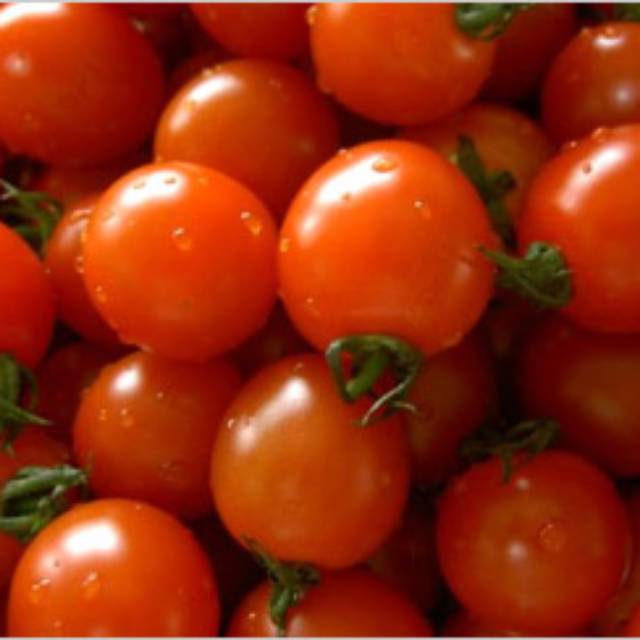 

TOMAT CERRY FRESH 250GRAM
