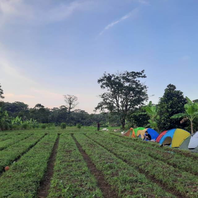 abdullah_faiq_alghifary