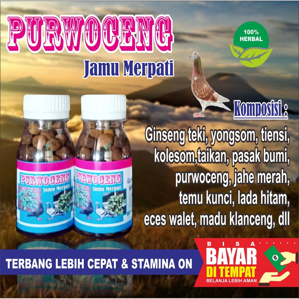 JAMU MERPATI PURWOCENG ISI 100 BUTIR DOPING MERPATI PILEDAN VETAFRAM GINSENG TEKI