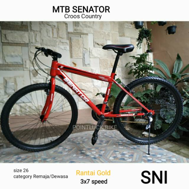 MTB mountain bike /sepeda gunung/sepeda pancal  senator croos country series NEW SNI